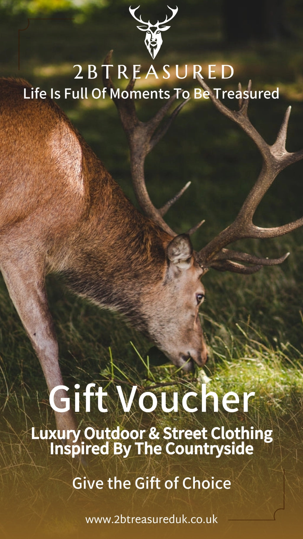 Gift Vouchers