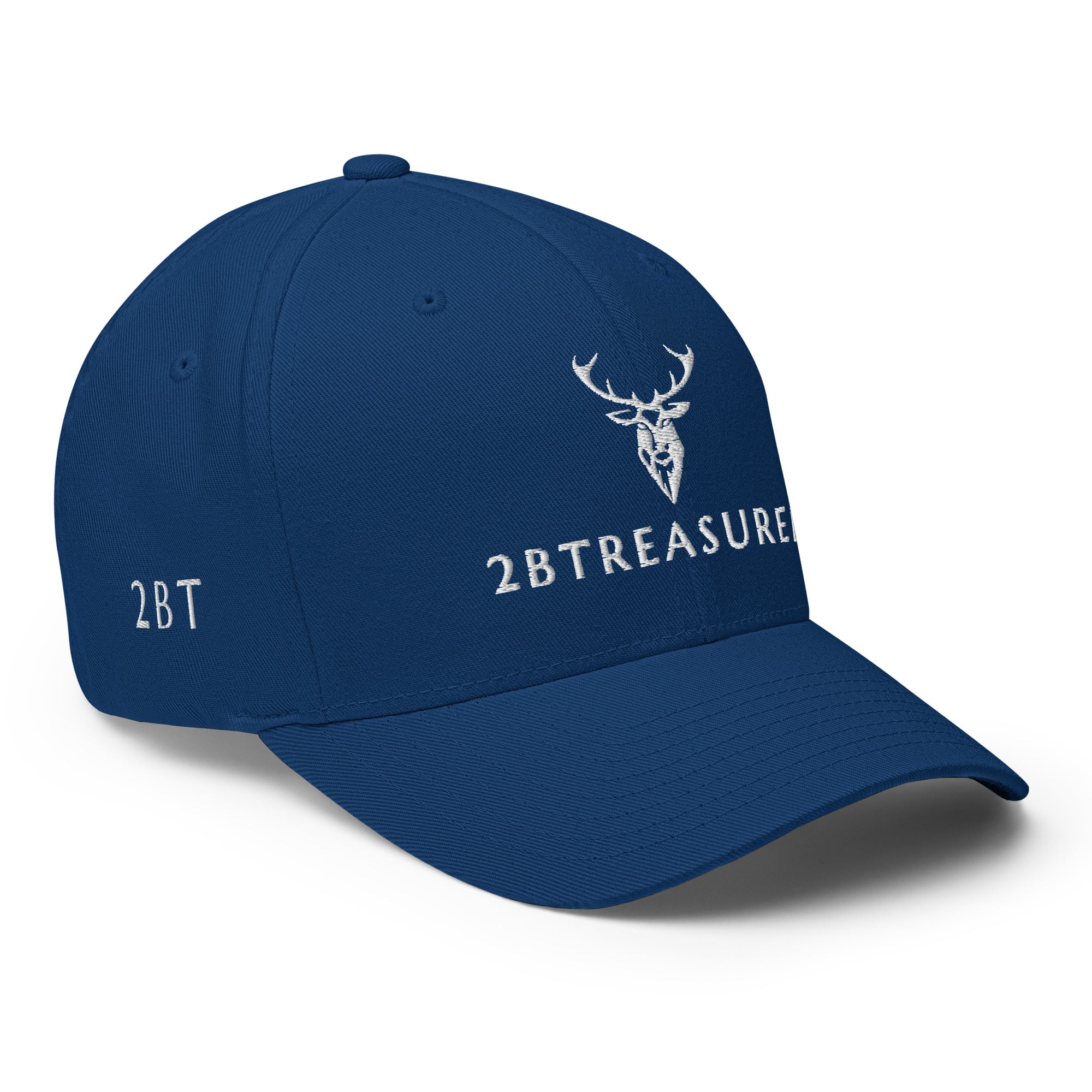 Embroidered Structured Cap Royal blue front view with branding