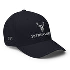 Embroidered Structured Cap navy front view