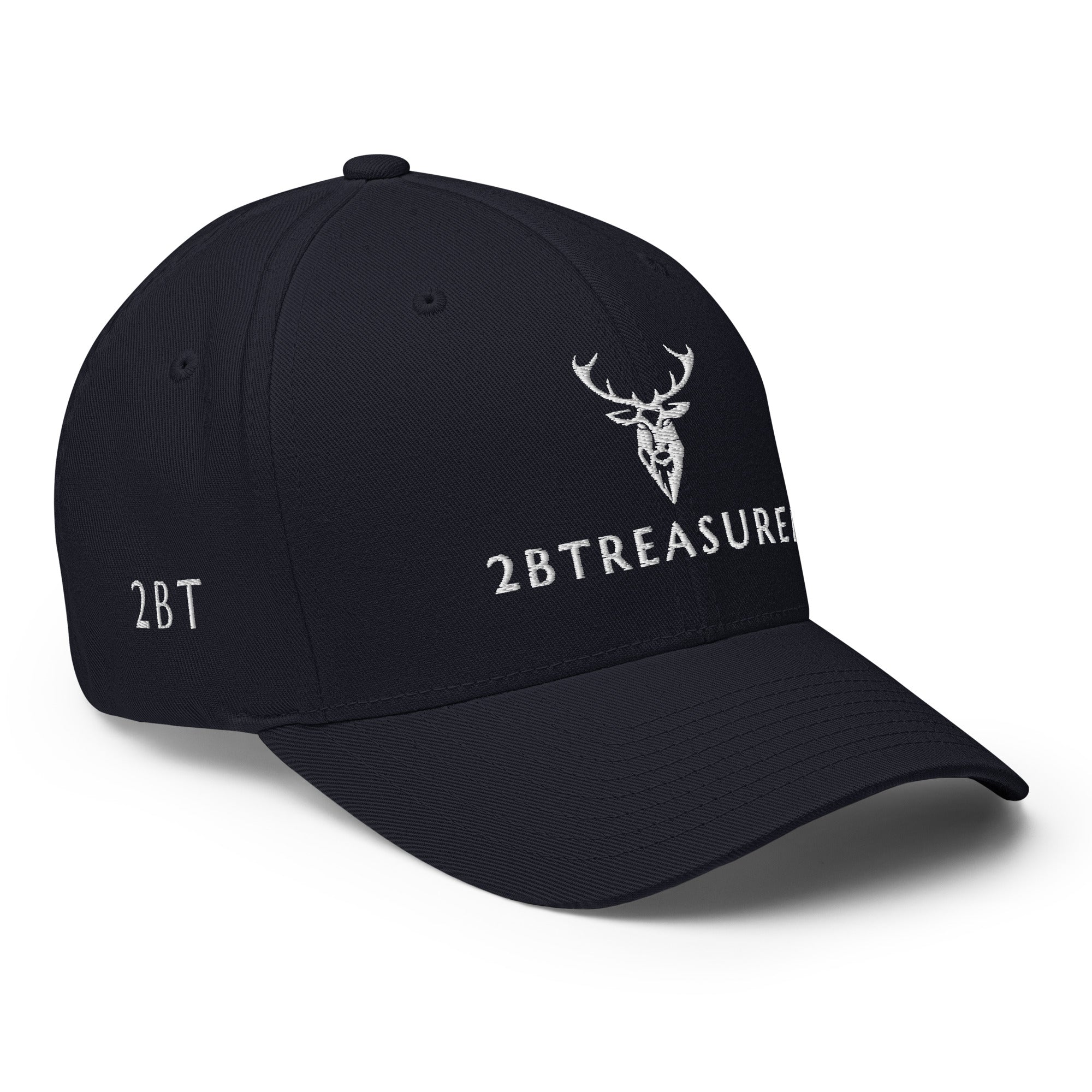 Embroidered Structured Cap navy front view