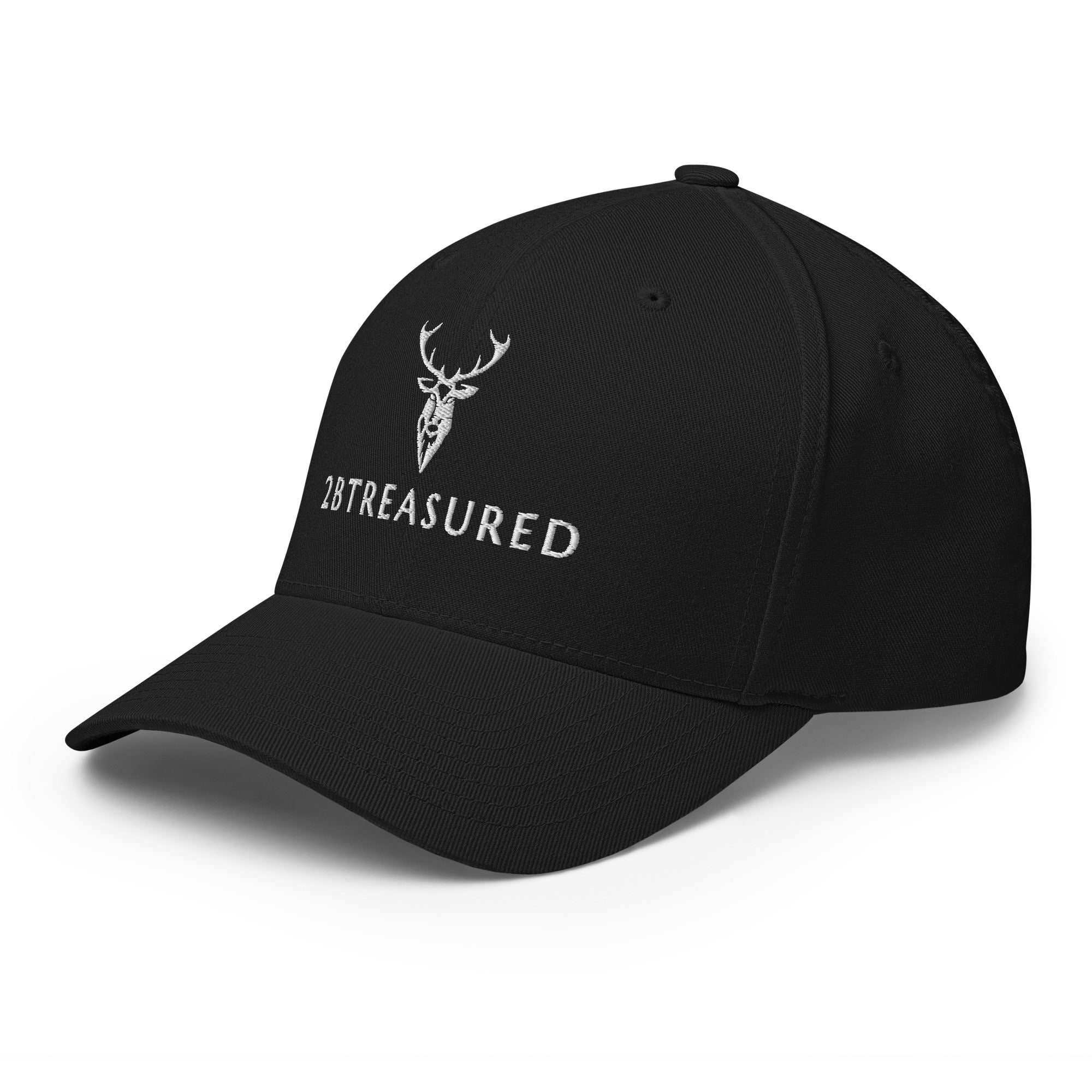 Embroidered Structured Cap in black front left side view