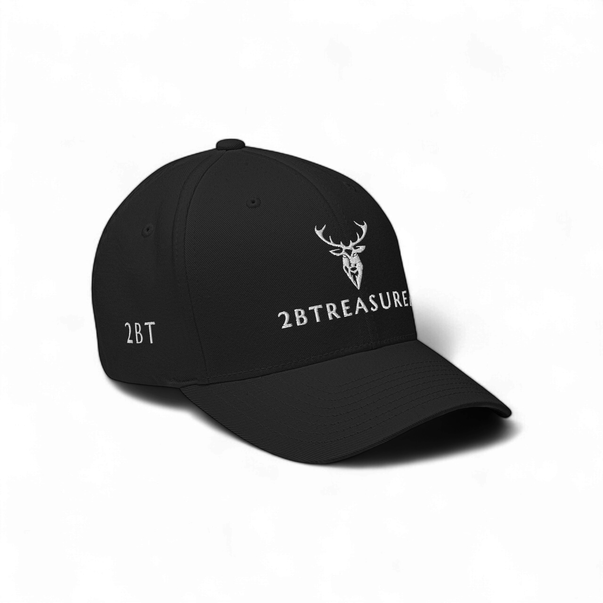 Embroidered Structured Cap black front view