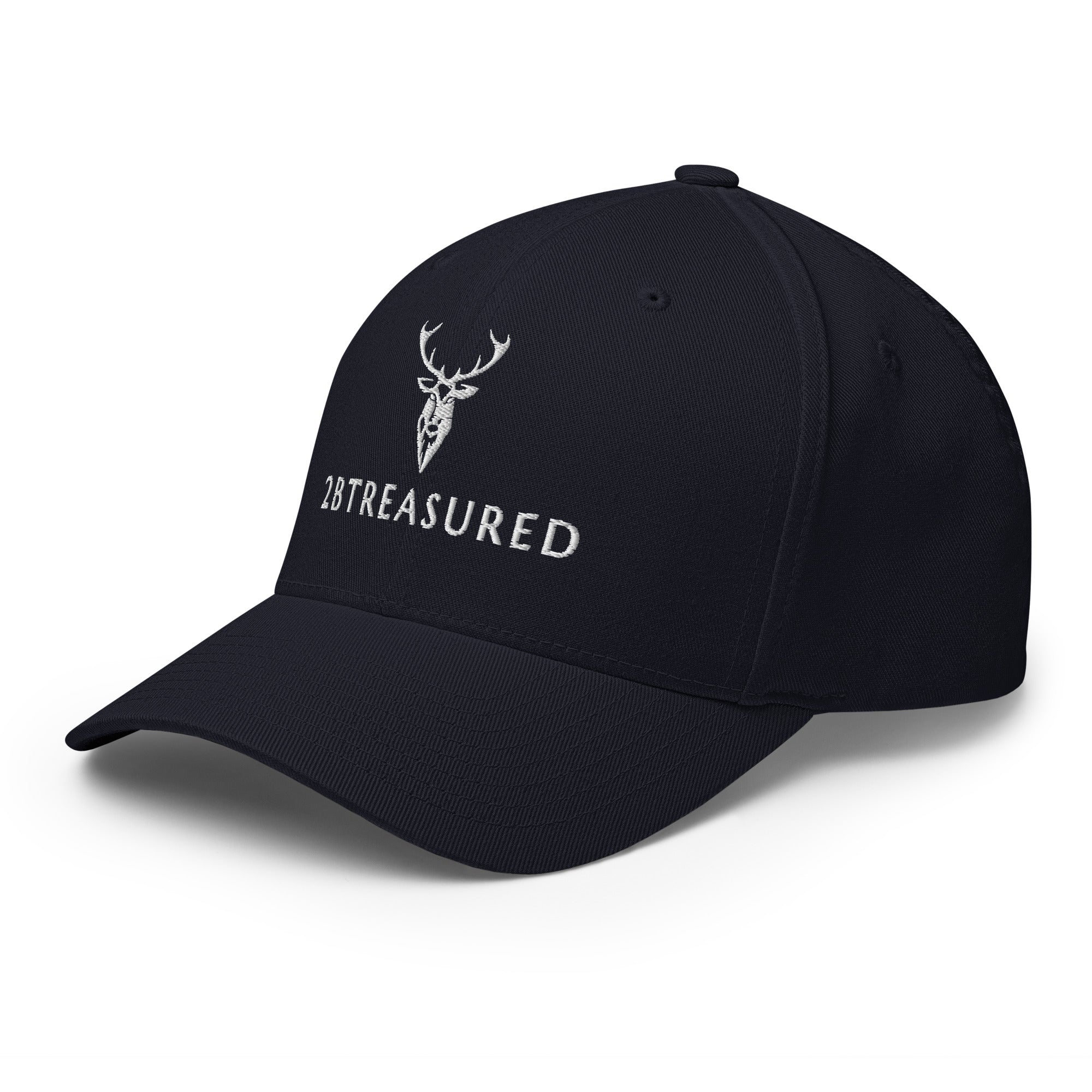 Embroidered Structured Cap navy front left view