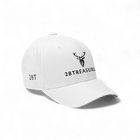 Embroidered Structured Cap white