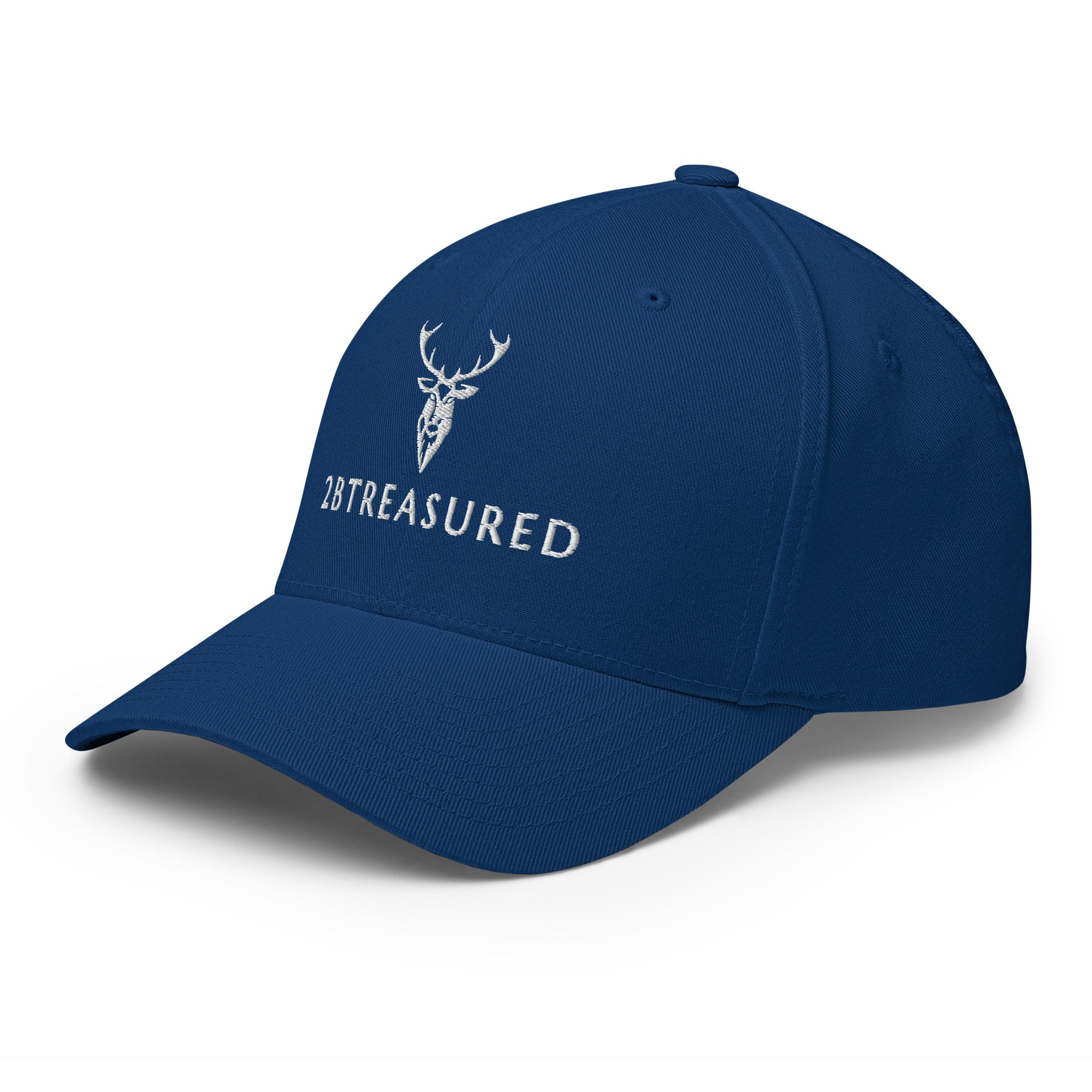 Embroidered Structured Cap front left view royal blue colour
