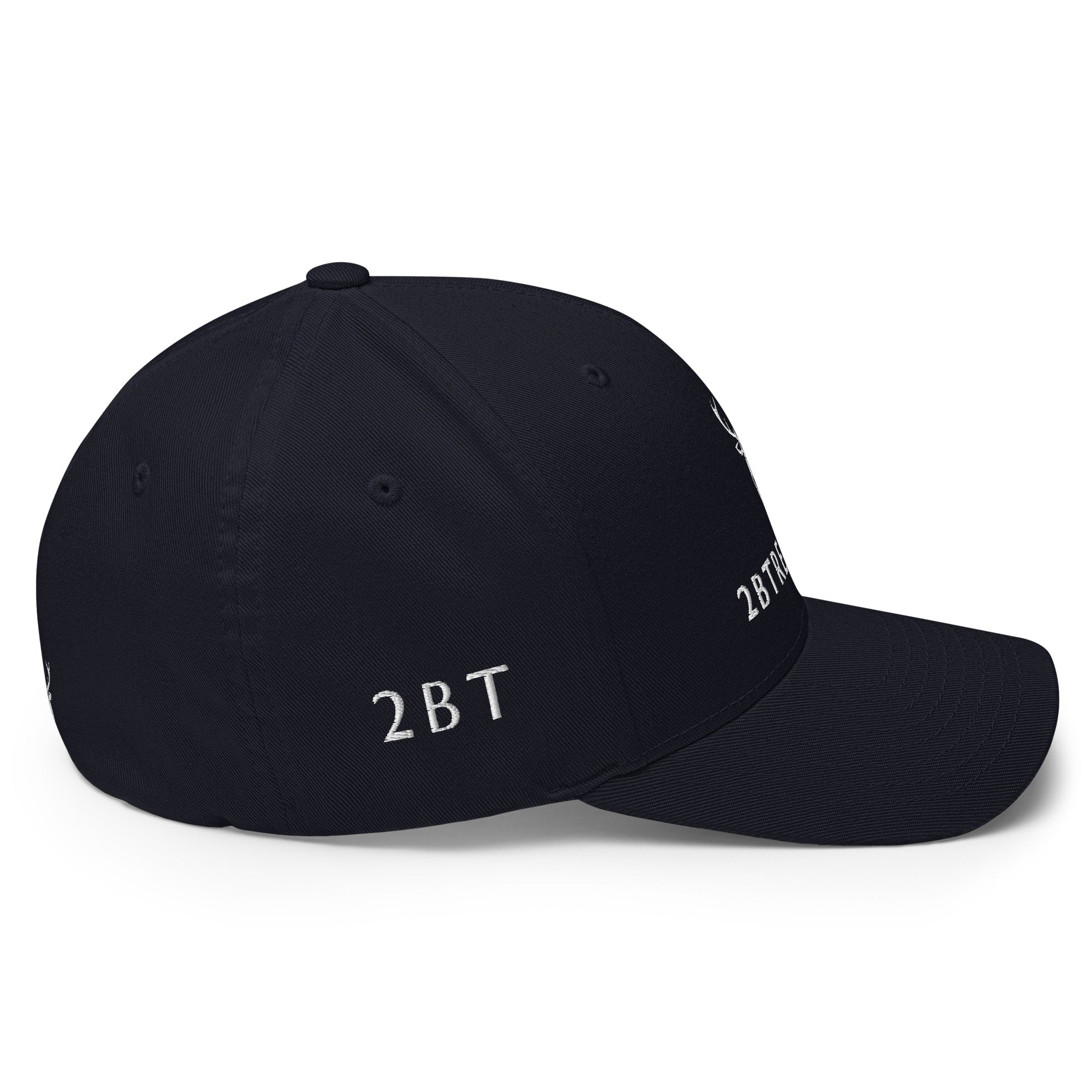 Embroidered Structured Cap in navy right side view
