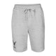 Embroidered Men's Fleece Shorts